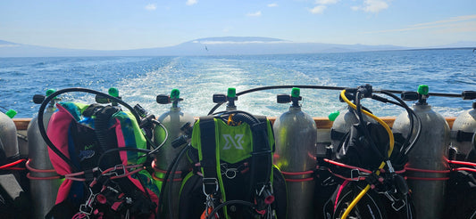 Why Bother Logging Dives? Ditch the "Guestimation" & Dial in Your Trim