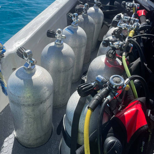 PADI vs SSI vs SDI: Which course is right for me?