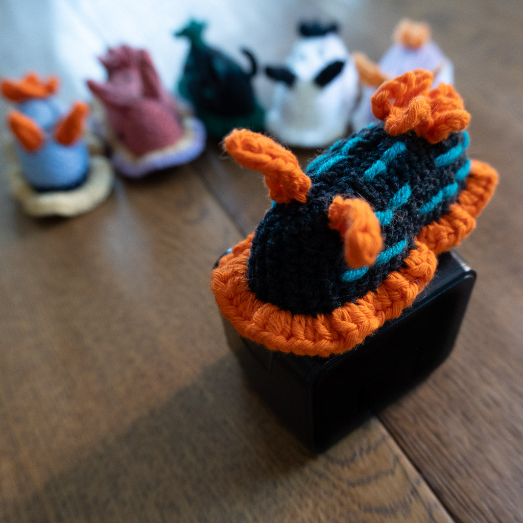 Close-up of the orange and black crochet nudibranch with the colour lineup behind