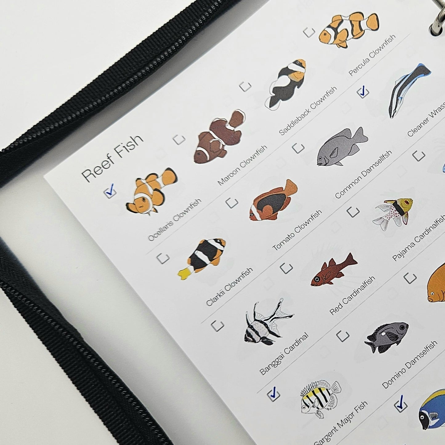 The Dive Journal - Scuba Diving Logbook