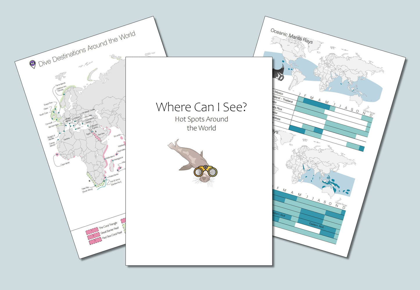 The Dive Journal being used to record dive experiences at a tropical dive destination